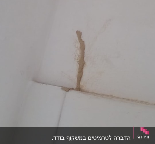 סימני נזק בקיר, ייתכן כתוצאה ממזיקים